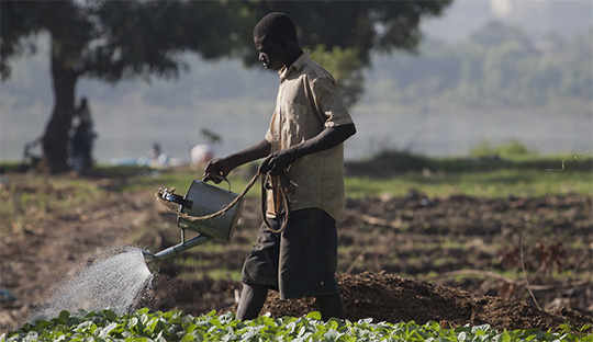 the agricultural equipment industry